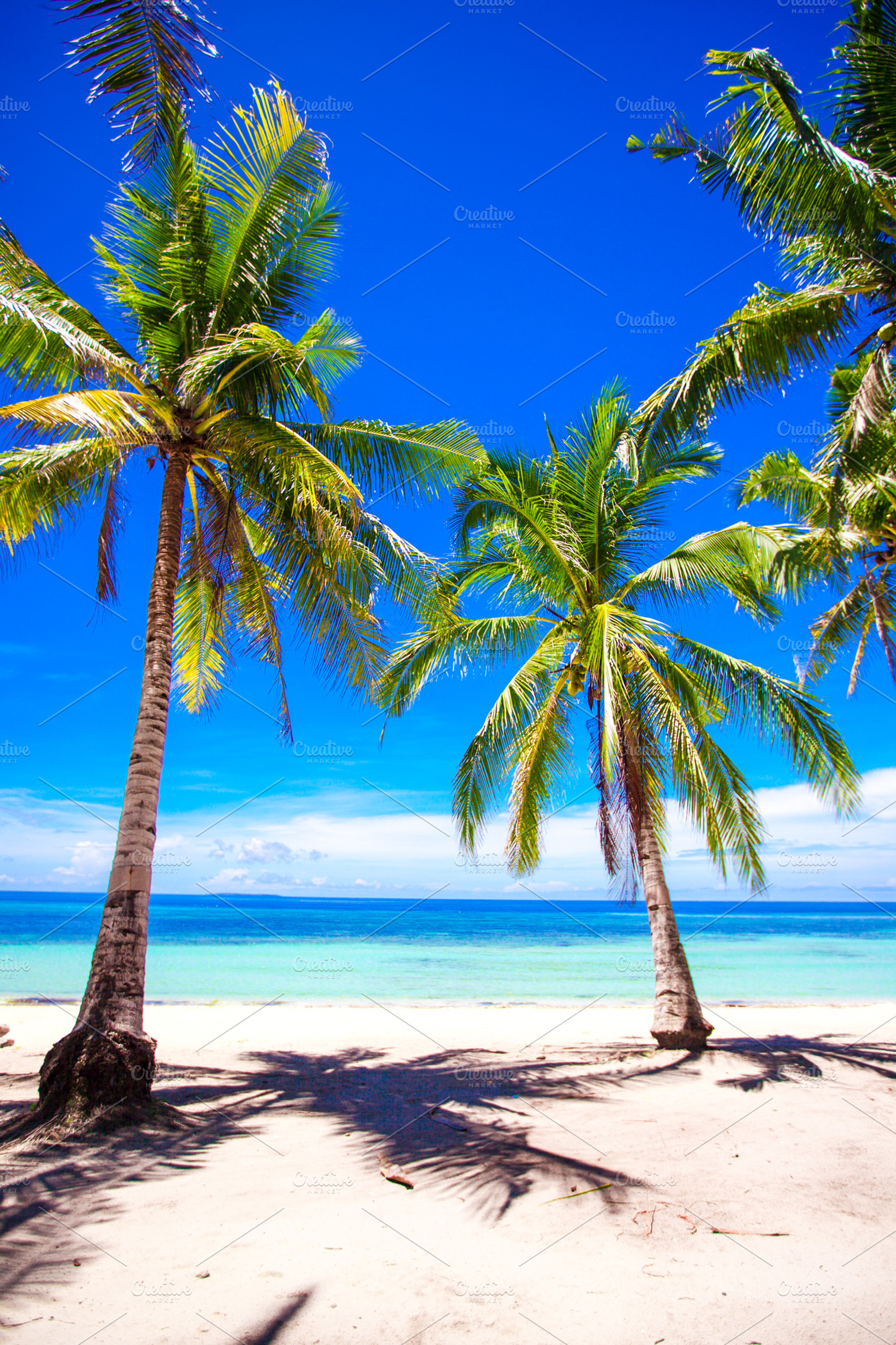 Beautiful tropical beach with palm trees, white sand ...