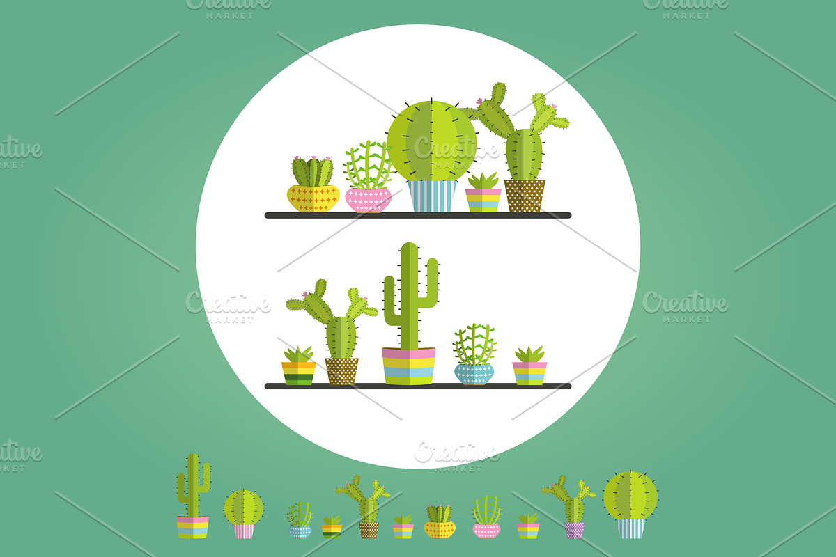 succulent plants and Cactus in Illustrations - product preview 8