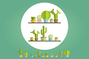 succulent plants and Cactus