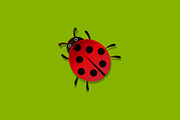  Ladybug vector icon cartoon