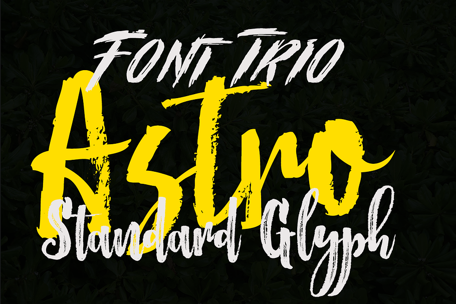 FontTrio in Script Fonts - product preview 8