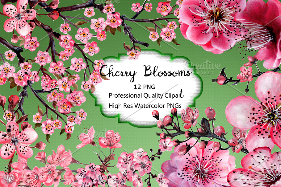 Cherry Blossom Hand Watercolor in Patterns - product preview 8