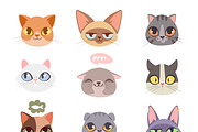 Funny cats hads vector set