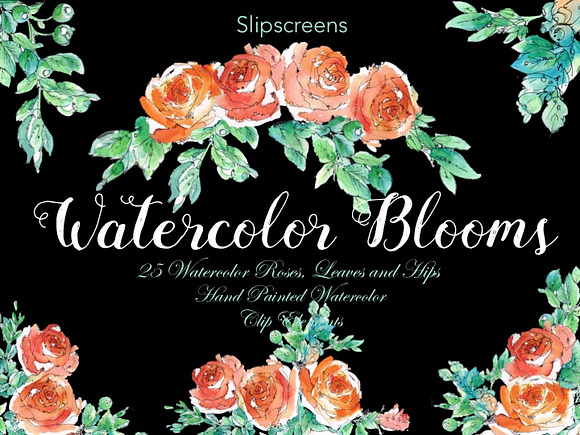 Watercolor Blooms Design Elements in Illustrations - product preview 1