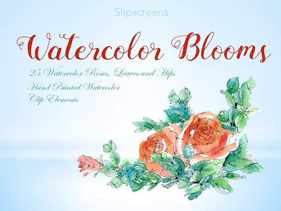 Watercolor Blooms Design Elements in Illustrations - product preview 2