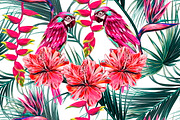 Parrots, tropical flowers pattern