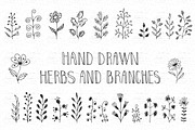 Hand drawn herbs and branches