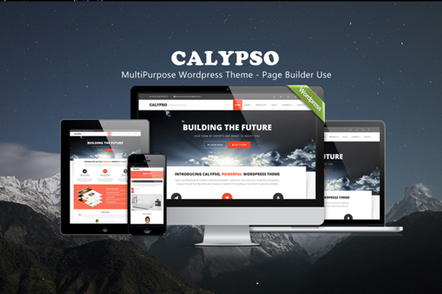 Calypso - Wordpress Theme in WordPress Business Themes - product preview 8