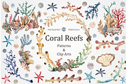Coral Reefs watercolour set