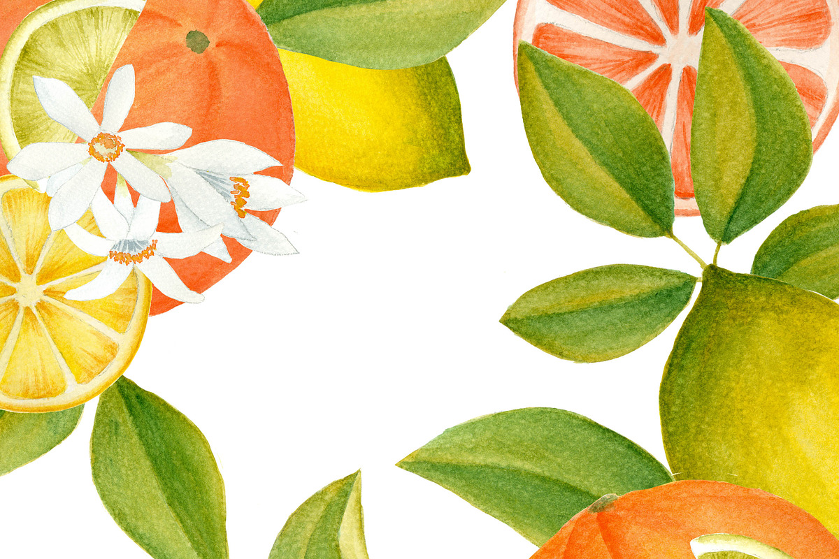 Citrus clipart and papers in Illustrations - product preview 8