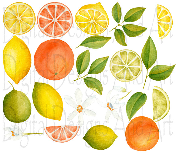 Citrus clipart and papers in Illustrations - product preview 1