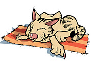 Resting Sly Cartoon Cat