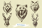 Set of hand-drawn wild animals