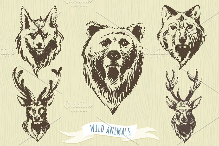 Set of hand-drawn wild animals in Illustrations - product preview 8