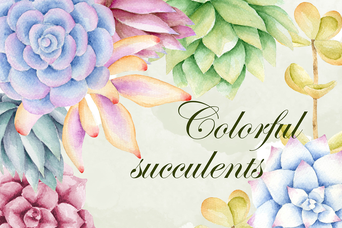 Succulents clipart in Illustrations - product preview 8
