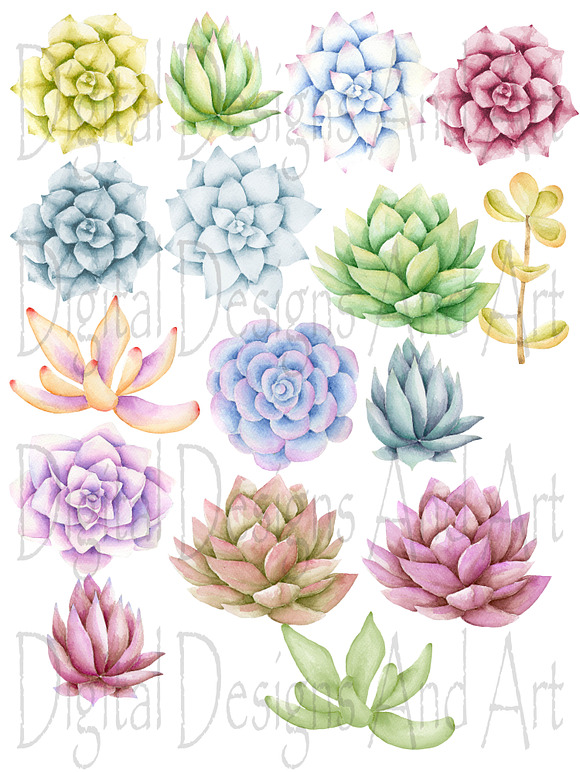 Succulents clipart in Illustrations - product preview 1