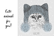 kitten in a knitted hat