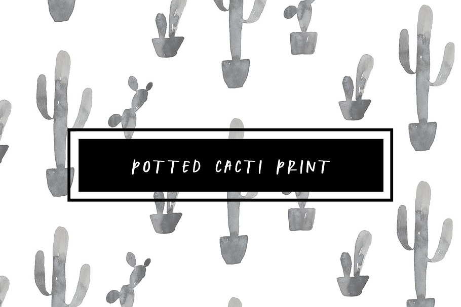Potted Cacti Print