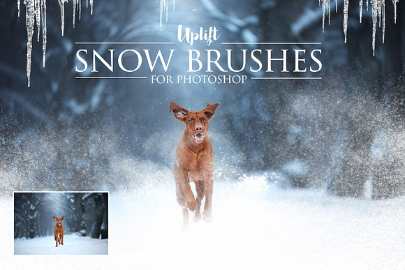 SALE! 110 Brush Bundle for Photoshop in Photoshop Brushes - product preview 1