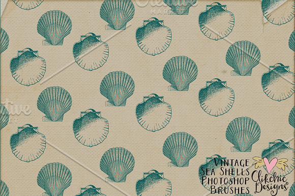 Vintage Sea Shell Photoshop Brushes in Photoshop Brushes - product preview 2