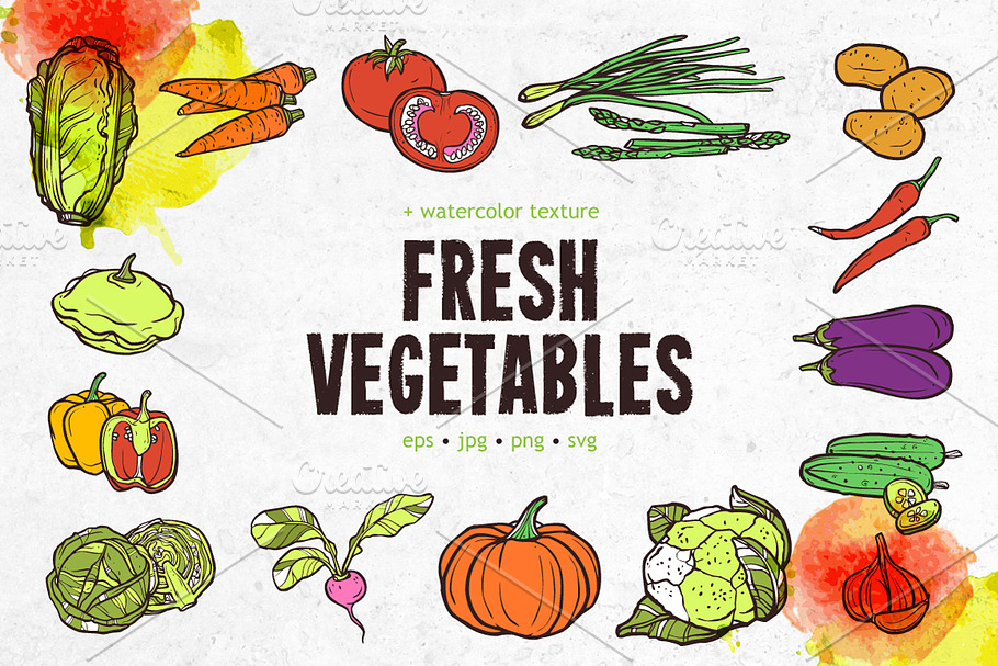 Fresh Vegetables Set in Illustrations - product preview 8