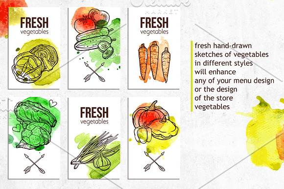 Fresh Vegetables Set in Illustrations - product preview 1