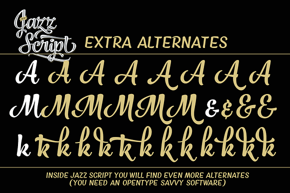 Jazz Script 12 fonts + extras -40% in Script Fonts - product preview 6