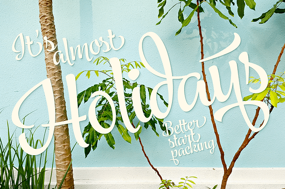 Jazz Script 12 fonts + extras -40% in Script Fonts - product preview 11