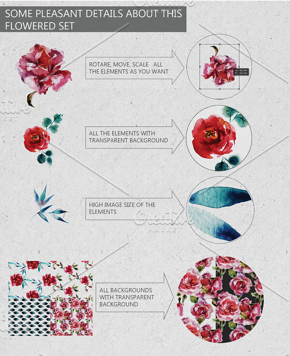 watercolor floral handdrawn  in Illustrations - product preview 2