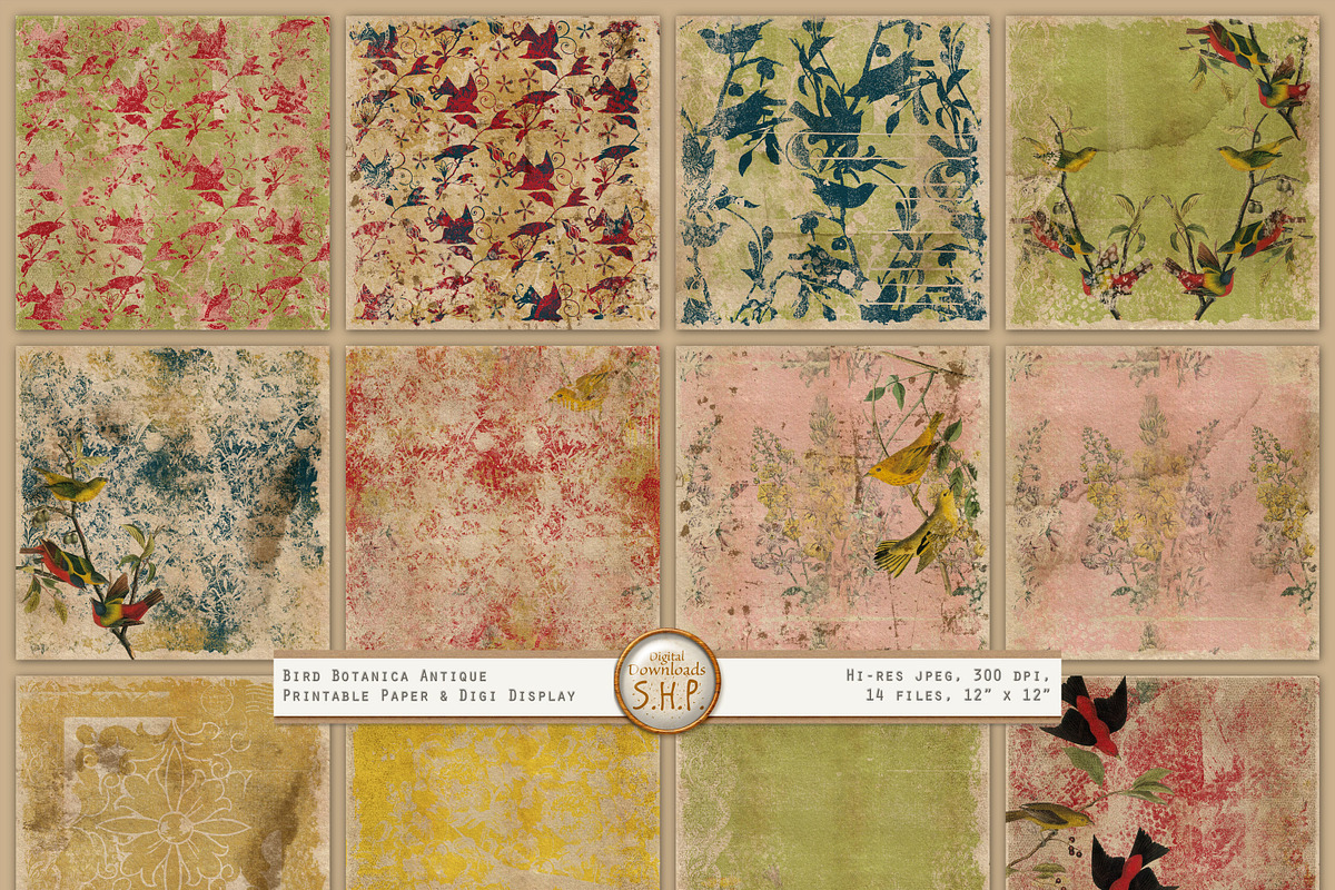 Antiqued Shabby Bird Botanical Pages in Patterns - product preview 8