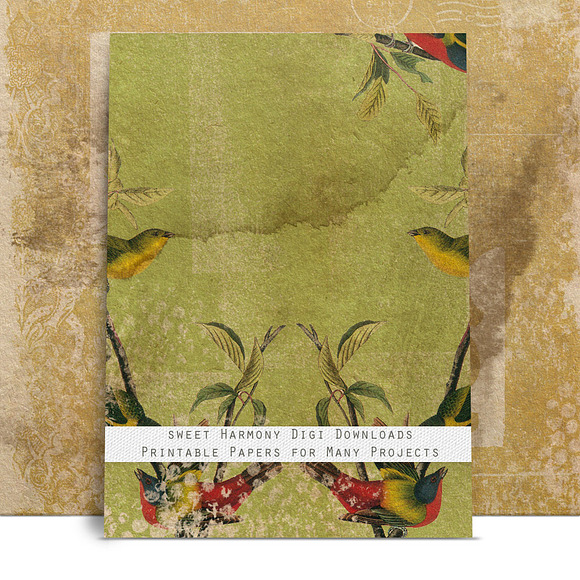 Antiqued Shabby Bird Botanical Pages in Patterns - product preview 1