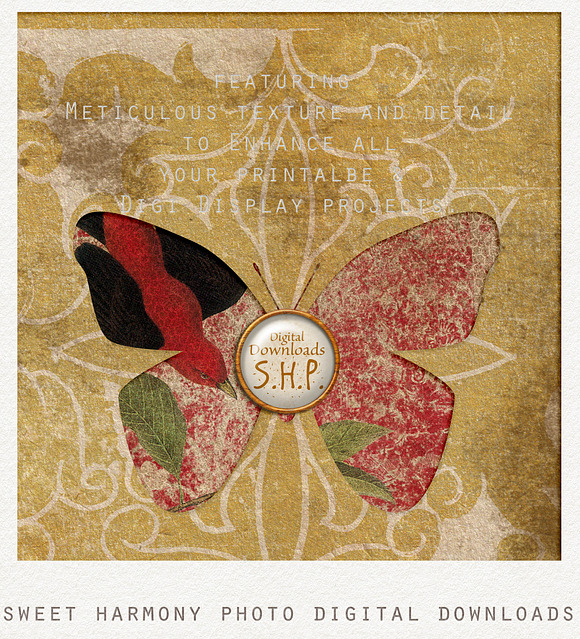 Antiqued Shabby Bird Botanical Pages in Patterns - product preview 3