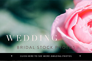 Wedding stock photo collection