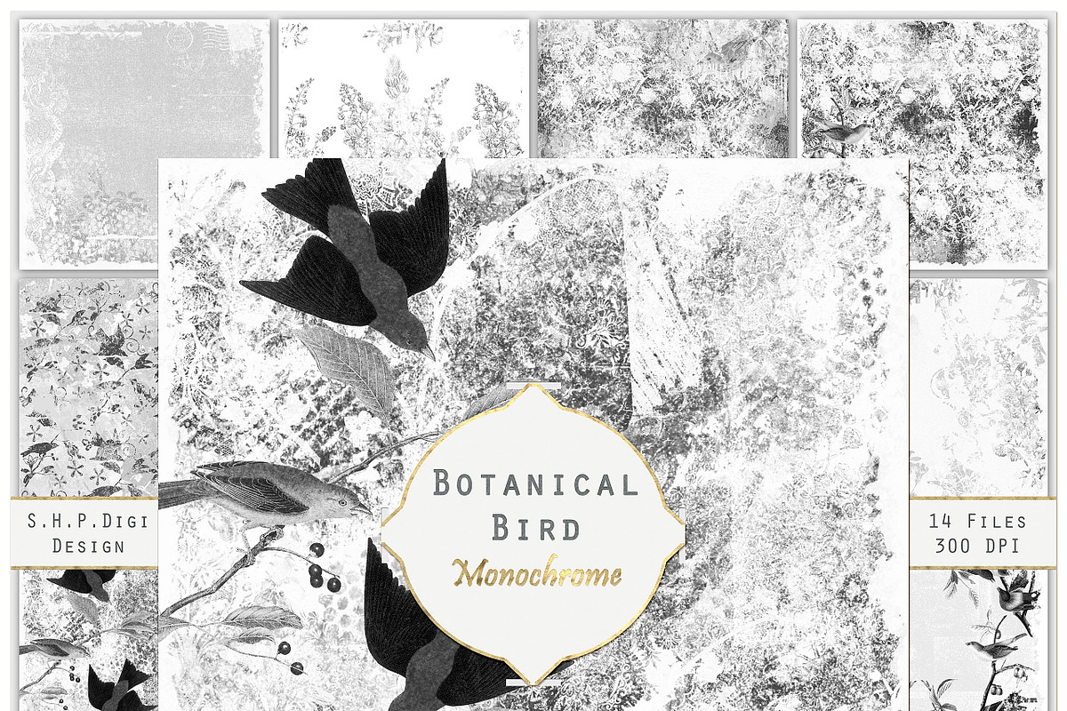 Pencil & Charcoal Antique Birds Set  in Patterns - product preview 8