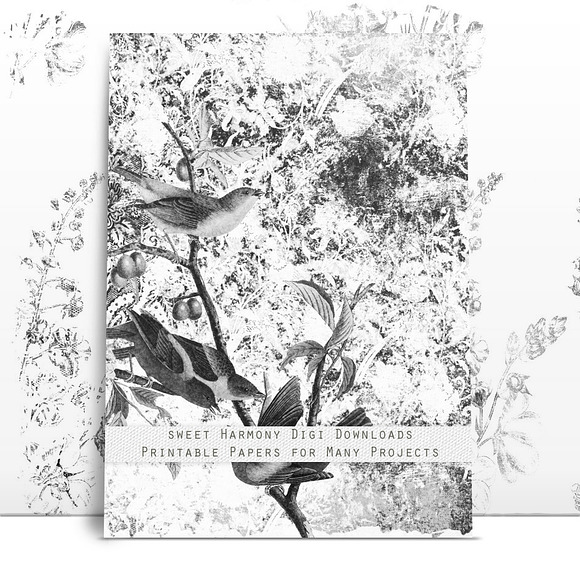 Pencil & Charcoal Antique Birds Set  in Patterns - product preview 1