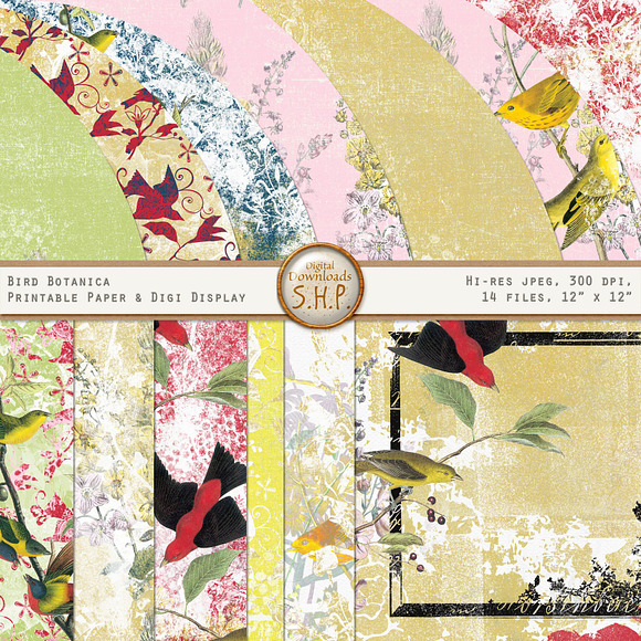 Bird Botanical Shabby Nature Set in Patterns - product preview 1