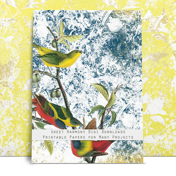 Bird Botanical Shabby Nature Set in Patterns - product preview 2