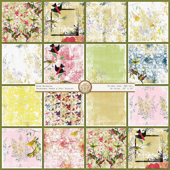 Bird Botanical Shabby Nature Set in Patterns - product preview 6