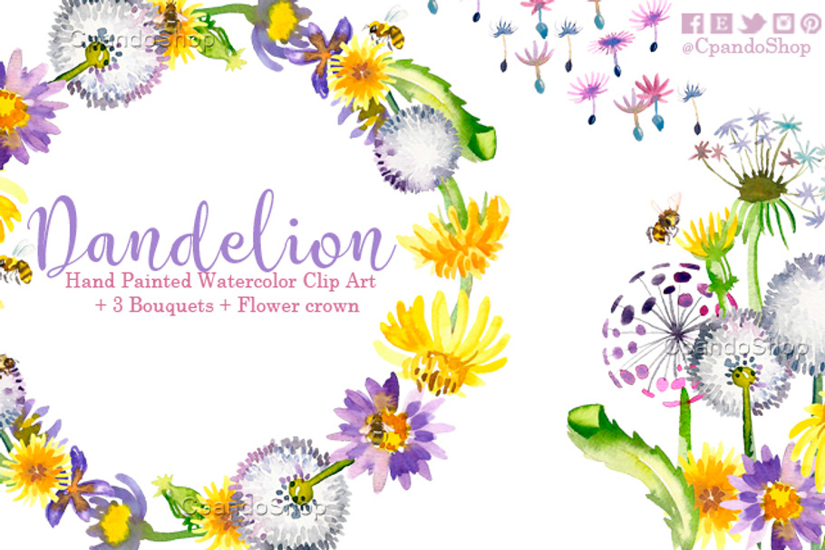  Dandelion floral watercolor clipart