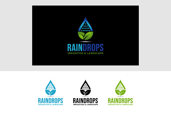 Rain Drops Logo in Logo Templates - product preview 2