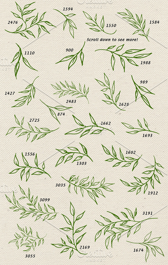 Leafy Branches Photoshop Brushes in Photoshop Brushes - product preview 1