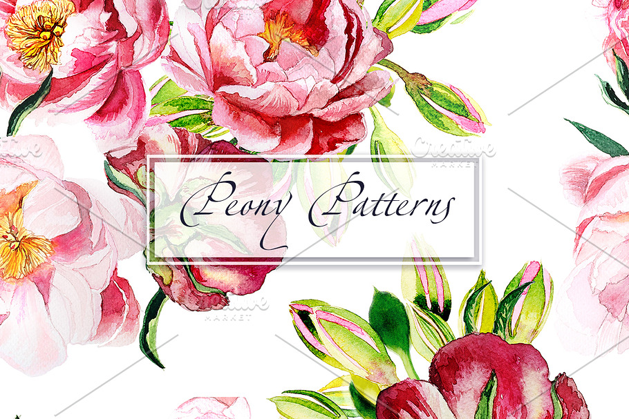Watercolor Peony patterns