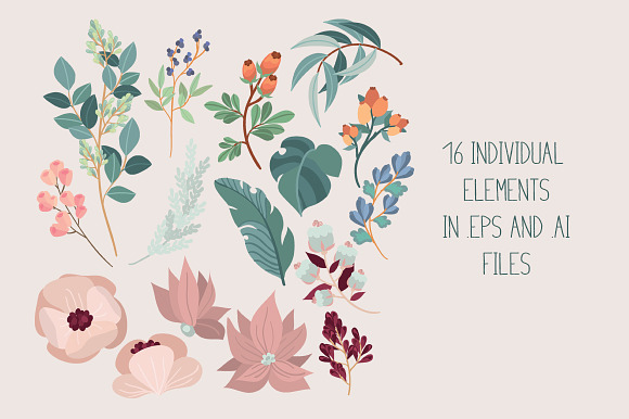 Eucalyptus - vector floral pack in Illustrations - product preview 1