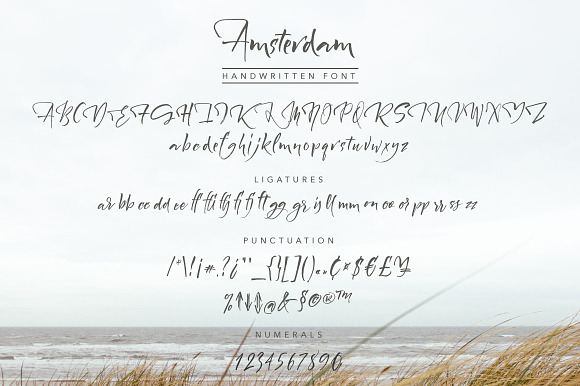 Amsterdam Handwritten Font in Script Fonts - product preview 4