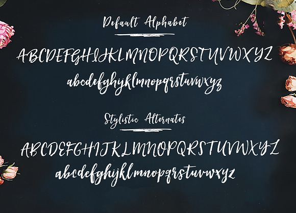 Hartley Font  in Script Fonts - product preview 10