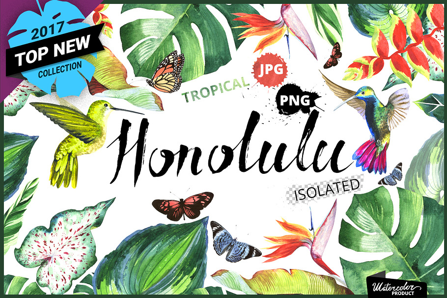 Tropical clipart PNG watercolor