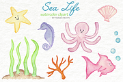 Watercolor Clip Art - Baby Sea Life