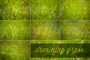 Dreaming grass no.2 - 10 photoset