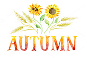 3 AUTUMN greeting cards