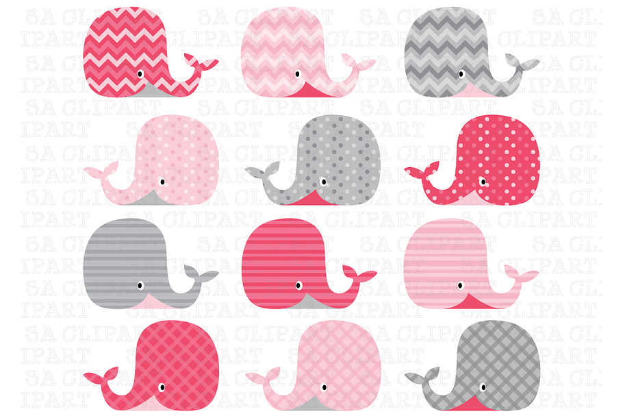Whale Clip Art in Illustrations - product preview 8